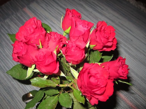image of roses that u cant see for some reason